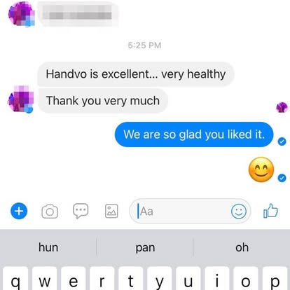 Customer message: Handvo is excellent, very healthy
